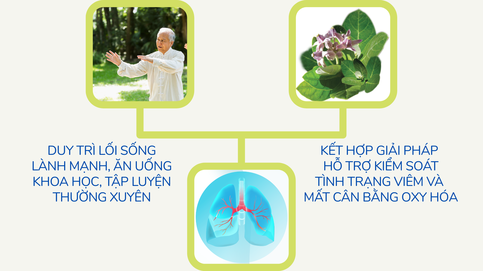 “Siêu trái cây” chứa hàm lượng vitamin C cao vượt trội, rất tốt cho hô hấp! - 3