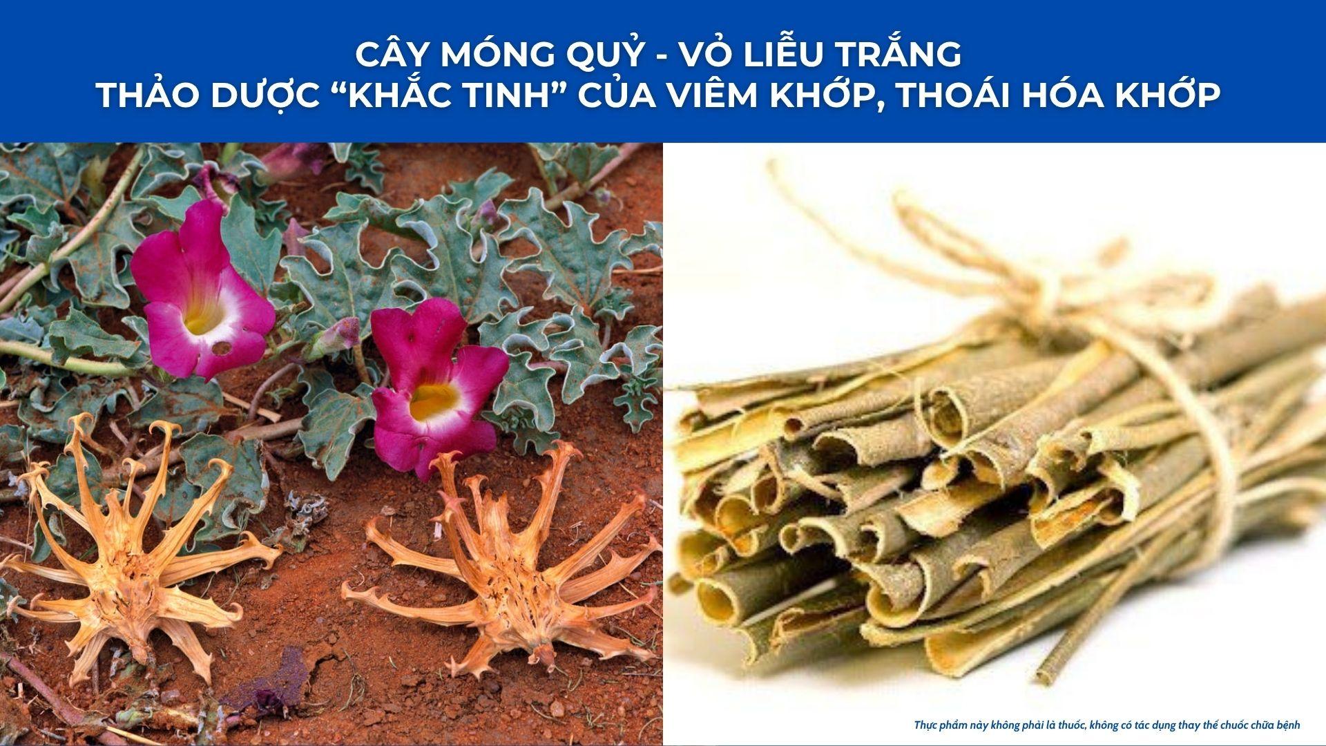 Học người Nhật bí quyết giảm đau xương khớp đơn giản được truyền qua hàng trăm năm - 4