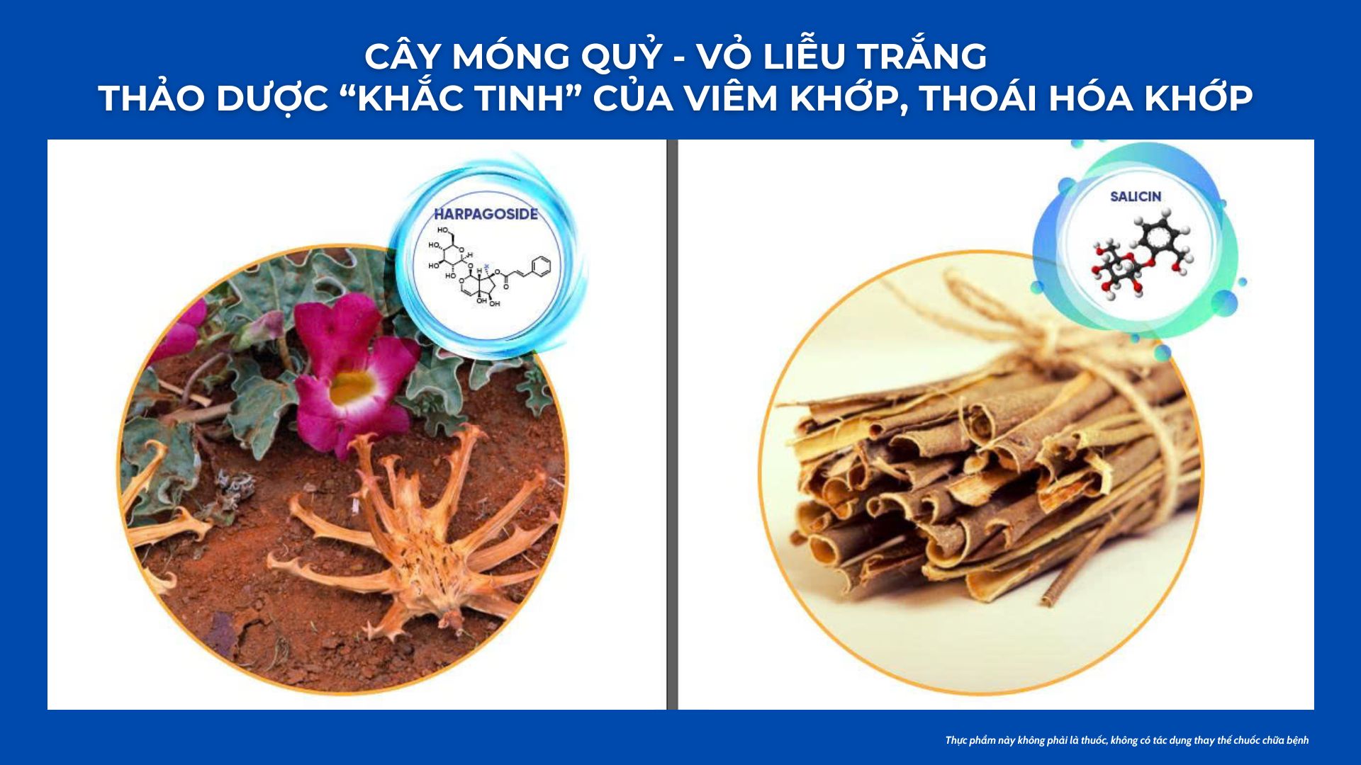 3 món nhậu khoái khẩu quen mặt cần từ bỏ càng sớm càng tốt nếu không muốn “đầu độc” xương khớp! - 4