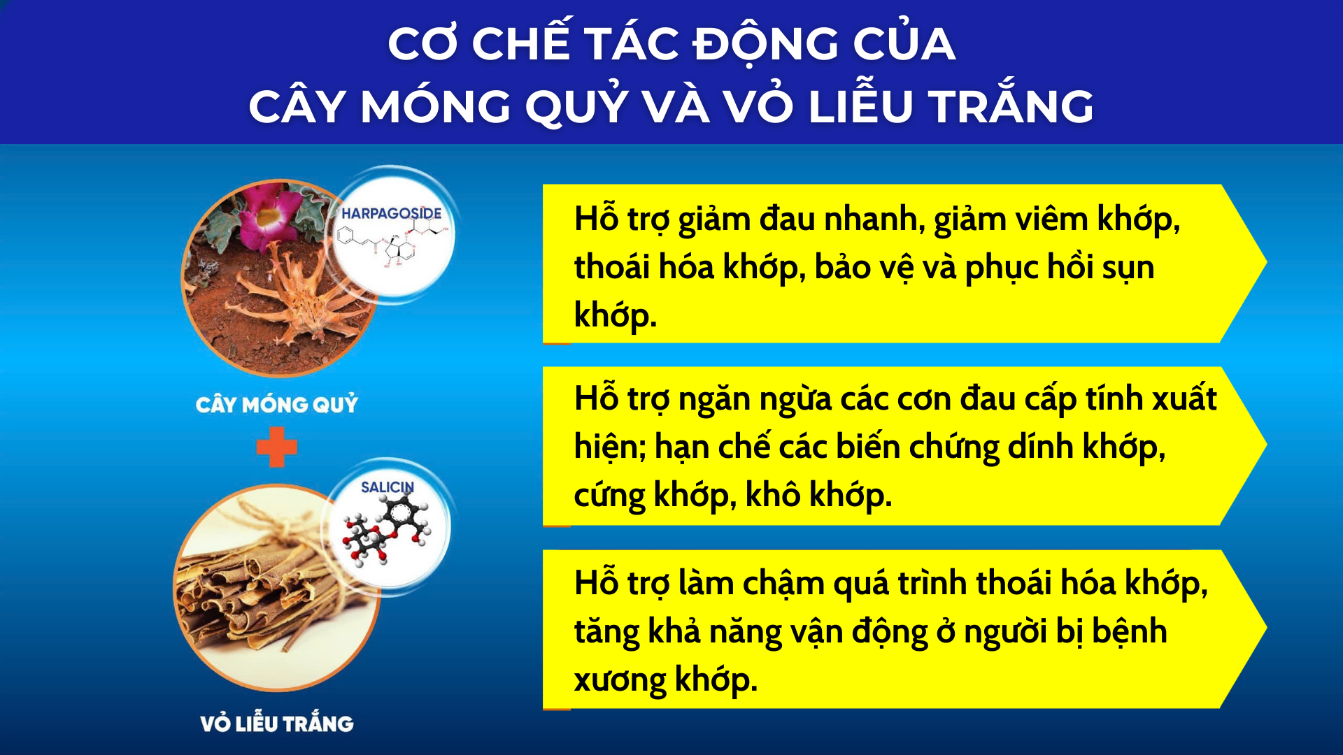 Ăn trứng gà có tốt cho xương khớp? Câu trả lời chưa chắc giống như bạn nghĩ - 4