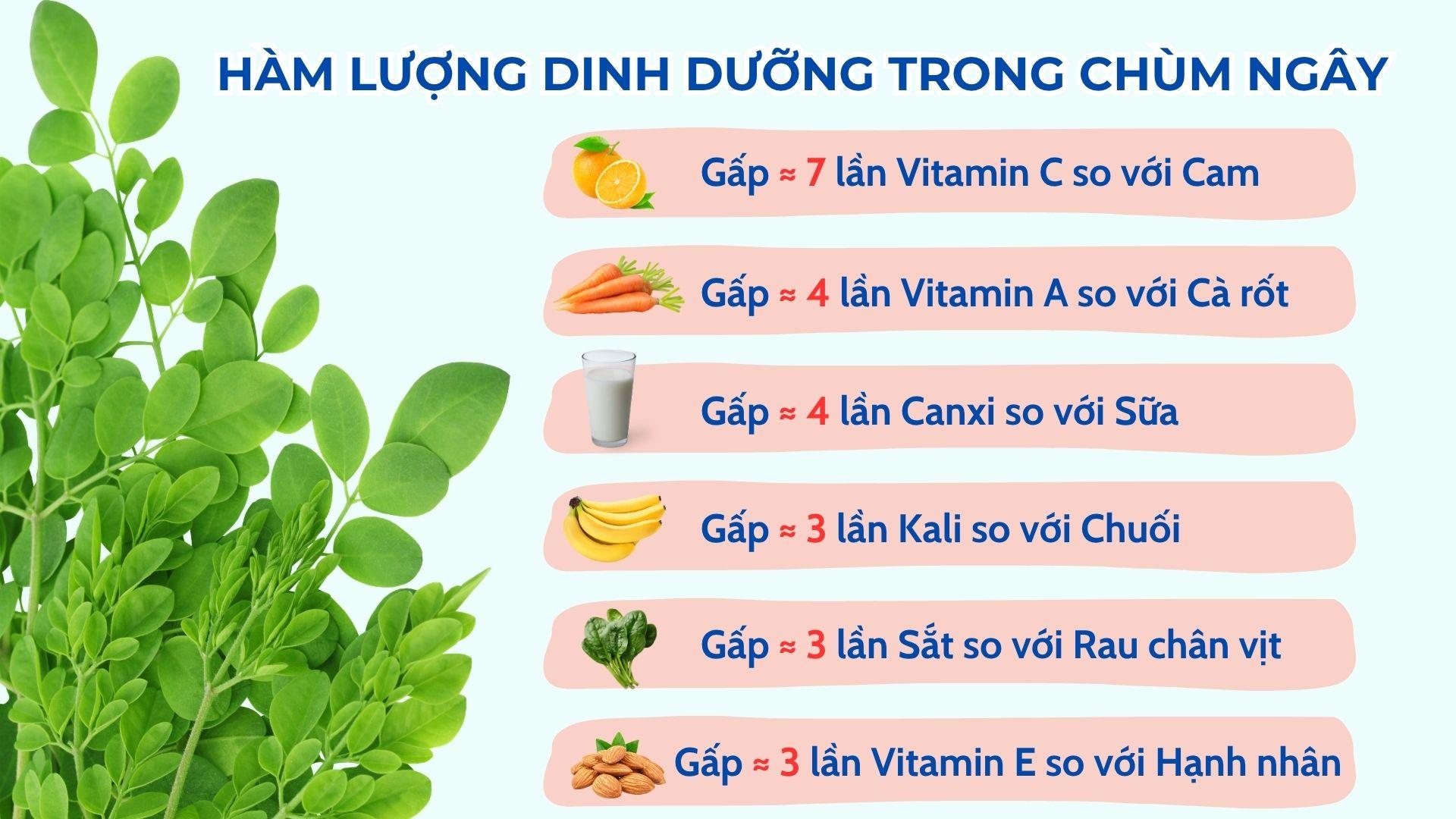 “Siêu thực phẩm” mọc đầy hàng rào được nhiều mẹ sau sinh ít sữa coi như “báu vật” - 2