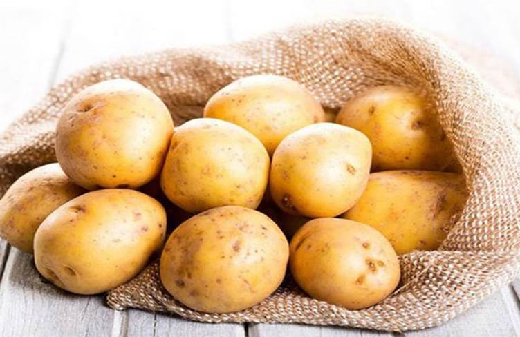 5 loại rau củ quen thuộc ngoài chợ, bất ngờ là “trợ thủ” cực tốt cho xương khớp - 1