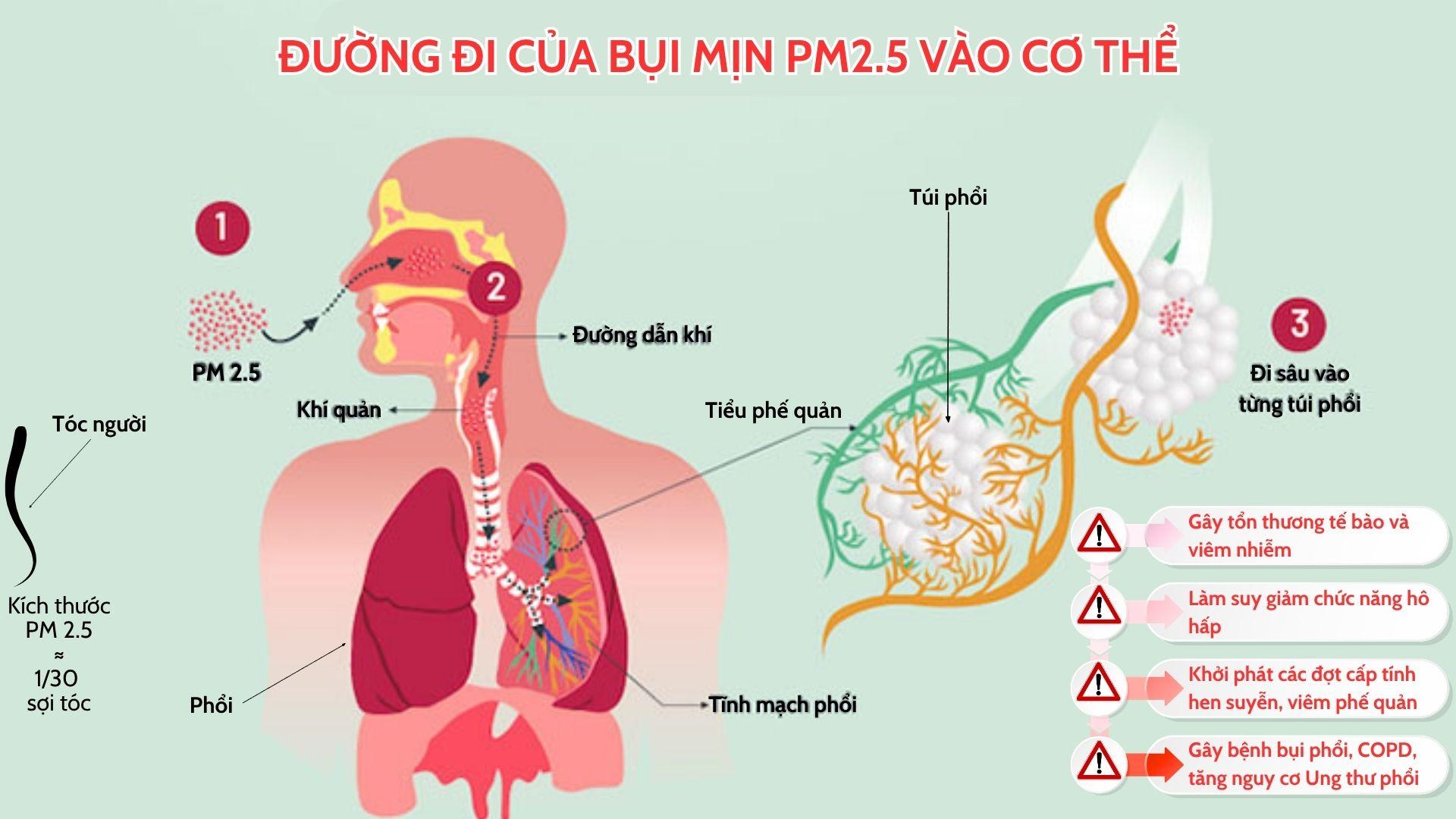 Sáng dậy đàm, ho liên tục: “Thủ phạm” có thể đang ở ngay trước cửa nhà - 2