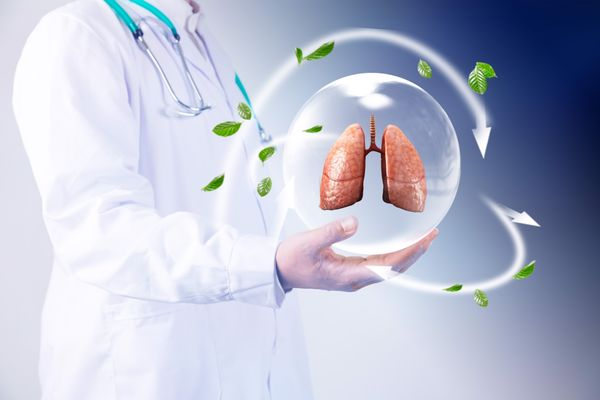 Loại rau “tanh nồng” bị nhiều người ngó lơ nhưng dưỡng phổi, giảm ho cực tốt, “bổ tựa nhân sâm” - 3