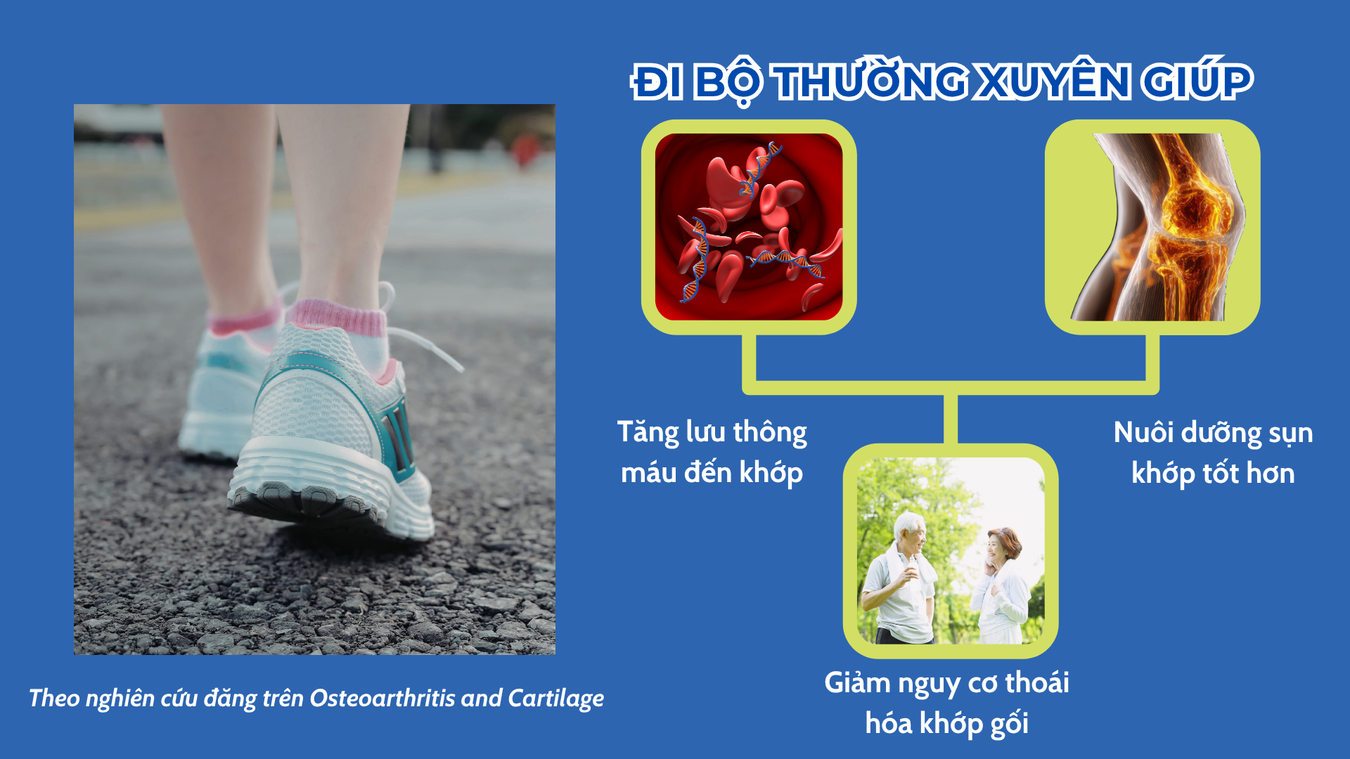Người Nhật giảm đau xương khớp nhờ 3 cách cực hiệu quả mà rất ít người biết - 2