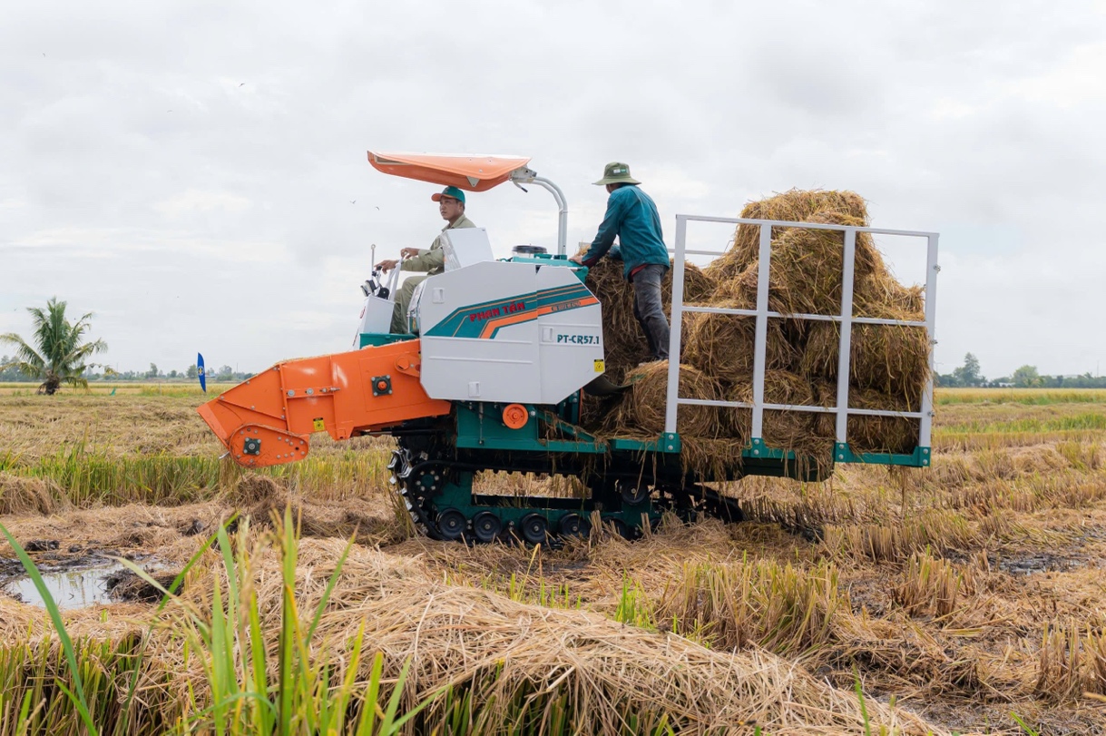 Phân bón Cà Mau mở lối canh tác lúa thích ứng biến đổi khí hậu - 2