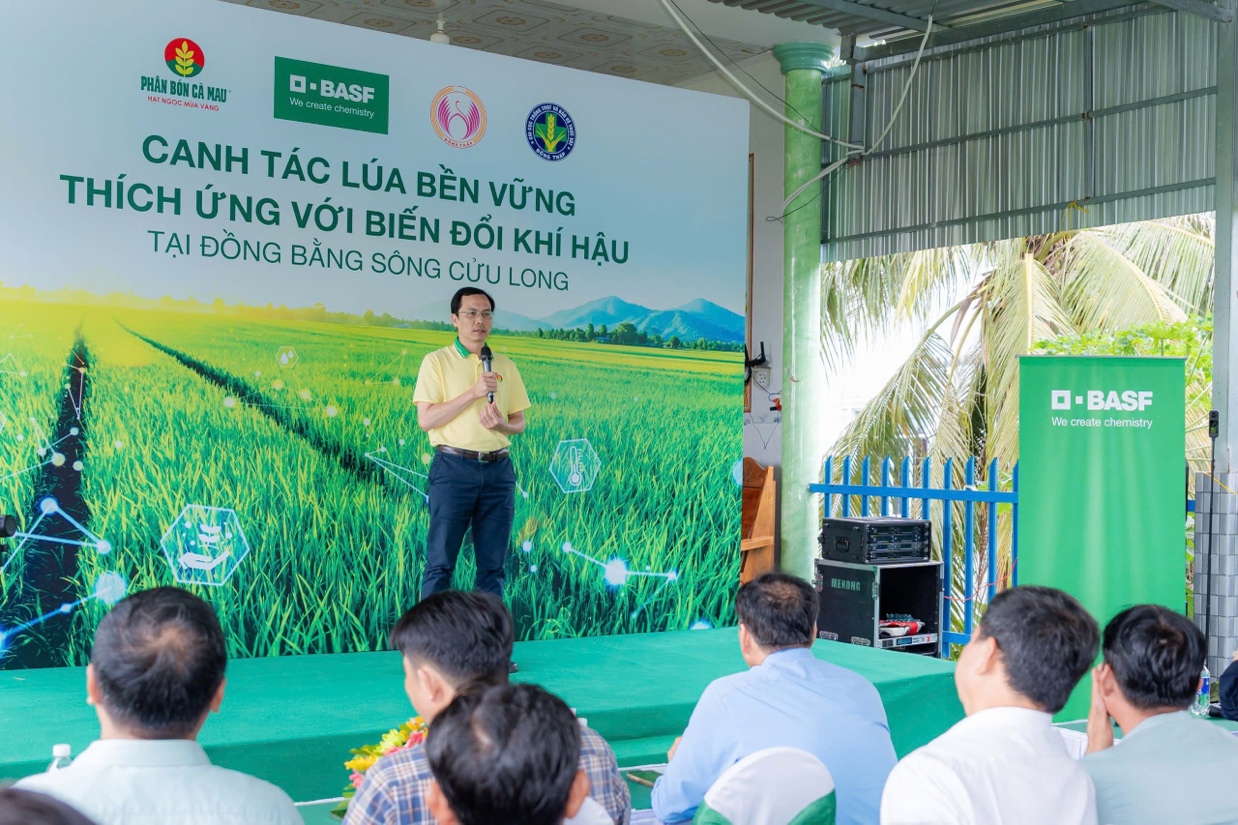 Phân bón Cà Mau mở lối canh tác lúa thích ứng biến đổi khí hậu - 3