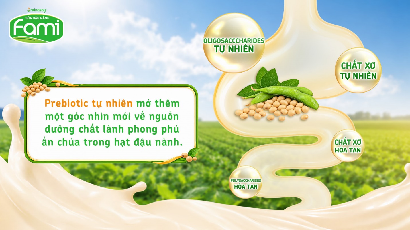 Prebiotic tự nhiên trong đậu nành – Giá trị tiềm năng đang được khám phá - 1