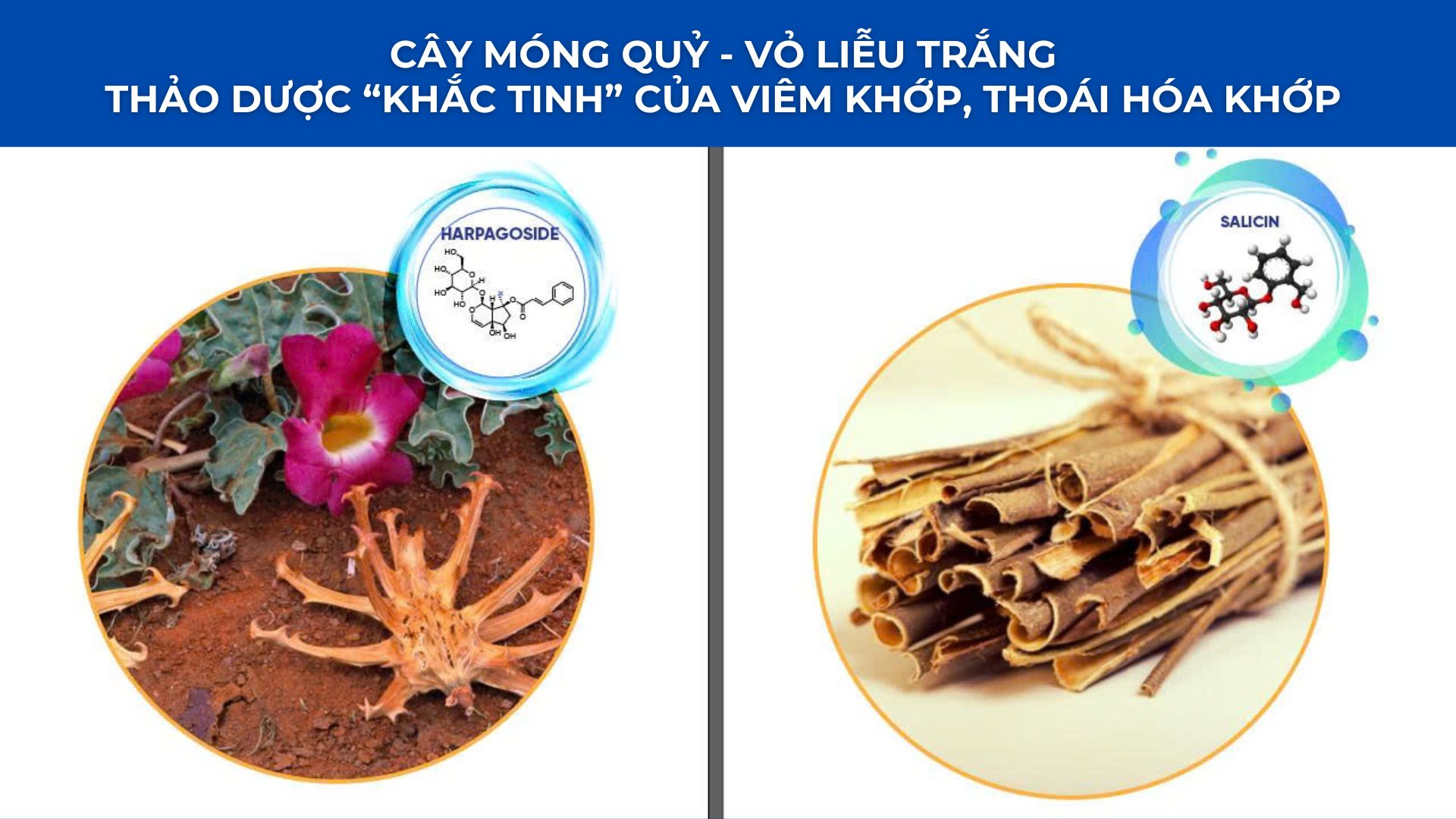 3 thói quen tắm tưởng vô hại có thể khiến đau nhức xương khớp “bùng lên” - 3