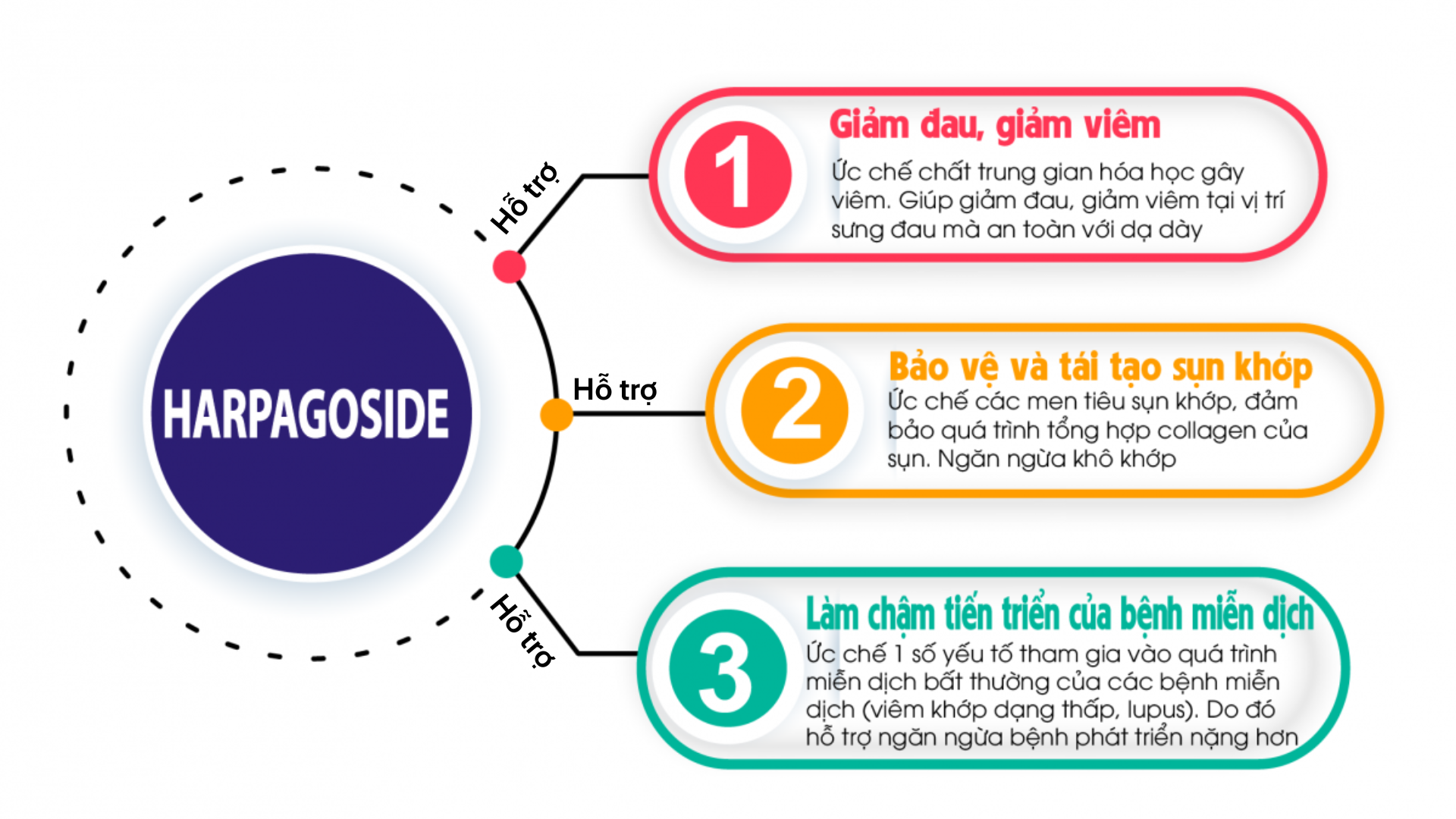Người Nhật giảm đau xương khớp nhờ 3 cách cực hiệu quả mà rất ít người biết - 5