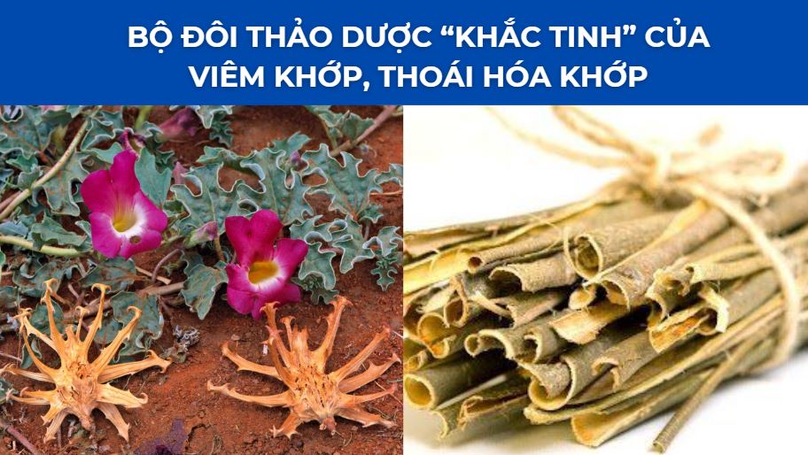 Việt Nam có 1 loại cá được mệnh danh là "gà nước" đại bổ cho xương khớp - 3