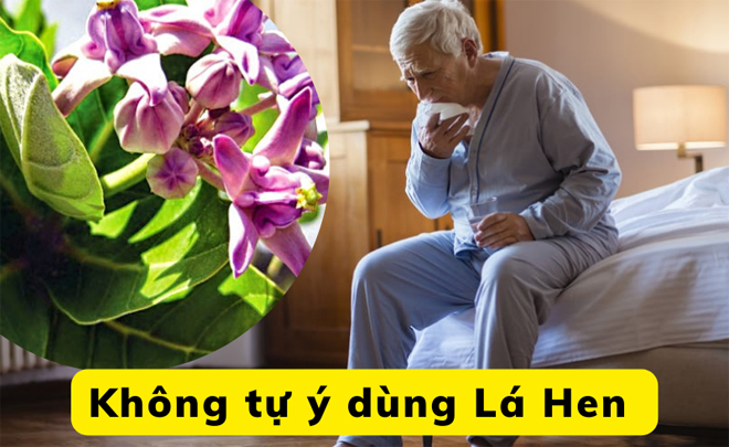 Bật mí 3 bài thuốc "cực nhạy" cho người bị ho, đờm - 3