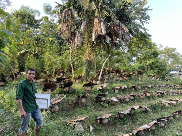 Nuôi loài “sát thủ của rừng già”, 8x thu lời cả trăm triệu mỗi năm - 1