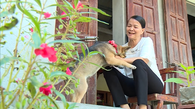 Đau lưng, đau vai gáy chỉ cần “nắm lá” này ngày 2 lần là ổn! - 4