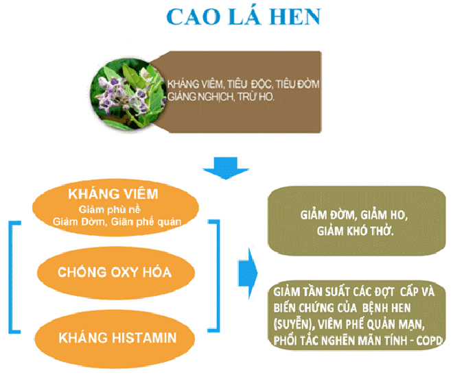 Cảnh giác đột tử vì hen suyễn? - 3
