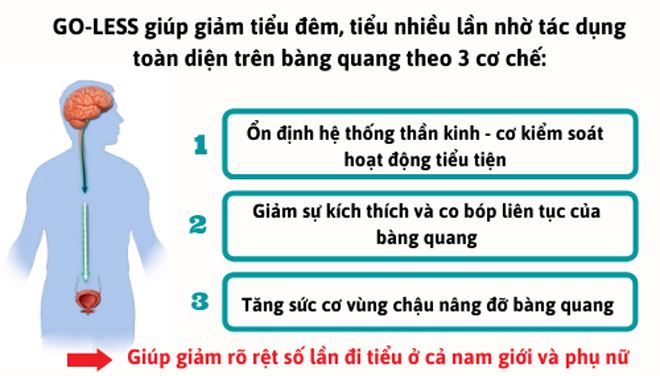 Bệnh “lạ” gây tiểu đêm, tiểu nhiều, vừa đi xong lại muốn đi tiếp cả nam và nữ đều mắc! - 4