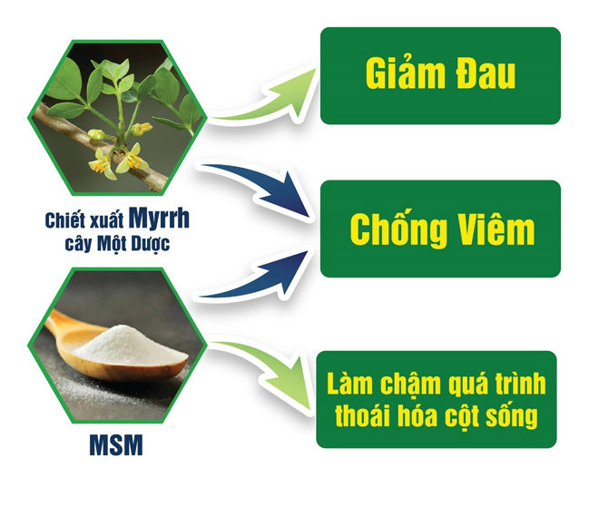 Chuyên gia cảnh báo nguy cơ “thoái hóa sớm” ở người đau lưng, đau vai gáy! - 5