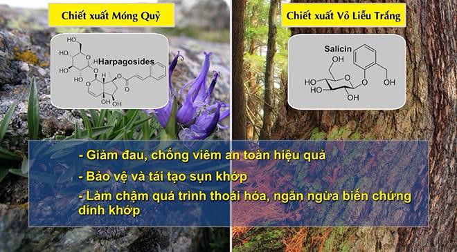 Những món ăn quen thuộc mà “bổ tựa nhân sâm” cho người bị đau nhức xương khớp - 3