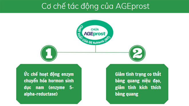 Sau 40 tuổi nam giới vẫn giữ 3 thói quen này cẩn thận suy kiệt vì tiểu đêm, tiểu nhiều lần - 3