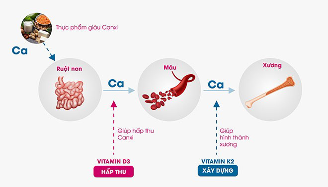 “Giải mã” vitamin K2 và “bí mật” để trẻ phát triển chiều cao tối ưu - 2