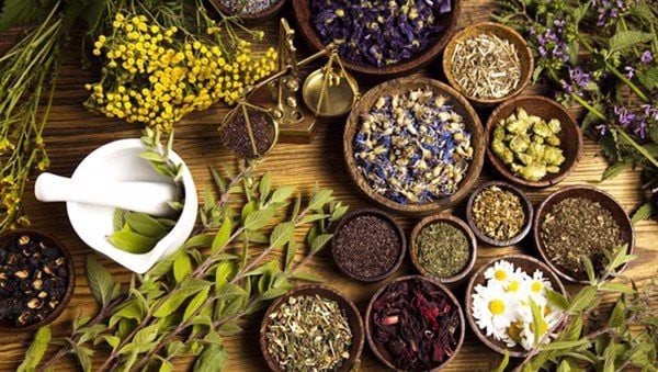 Thảo An - Thảo dược tự nhiên vì sức khỏe người dùng Việt - 1