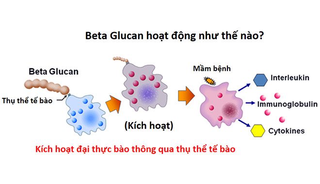 Tiết lộ hoạt chất giúp trẻ cải thiện đề kháng không lo ốm vặt, được các chuyên gia đánh giá cao - 2