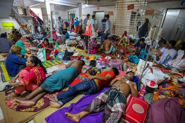 Dịch sốt xuất huyết khiến hơn 1.000 người chết ở quốc gia Nam Á - 1