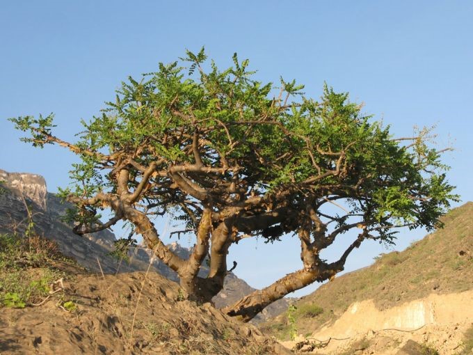 Đau lưng, mỏi vai gáy khi ngồi lâu - Dấu hiệu cảnh báo sớm của bệnh thoái hóa cột sống - 2