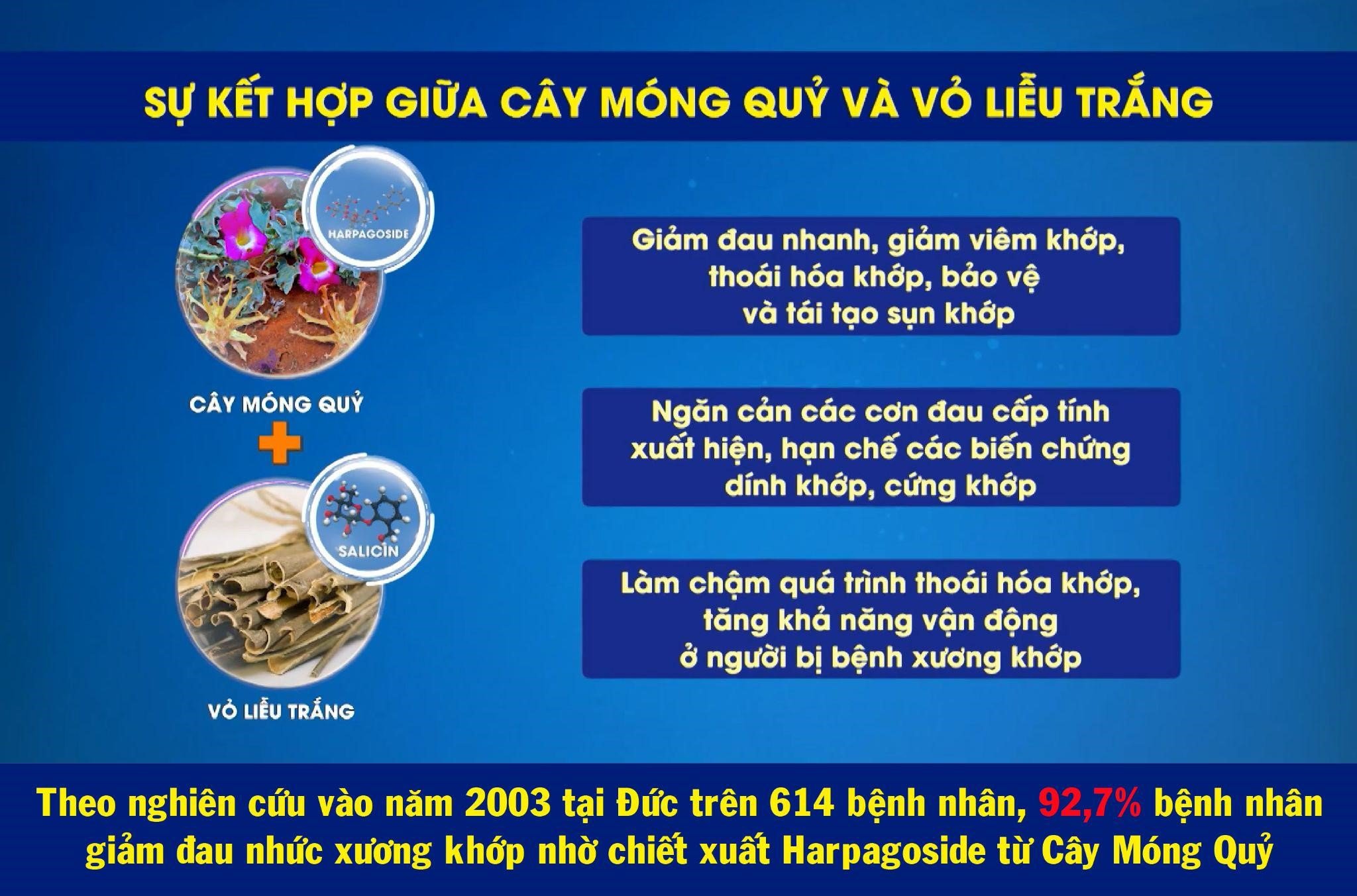 Cây Móng Quỷ - Thảo dược cổ phương giúp giảm đau nhức xương khớp "cực nhạy" từ châu Âu - 3