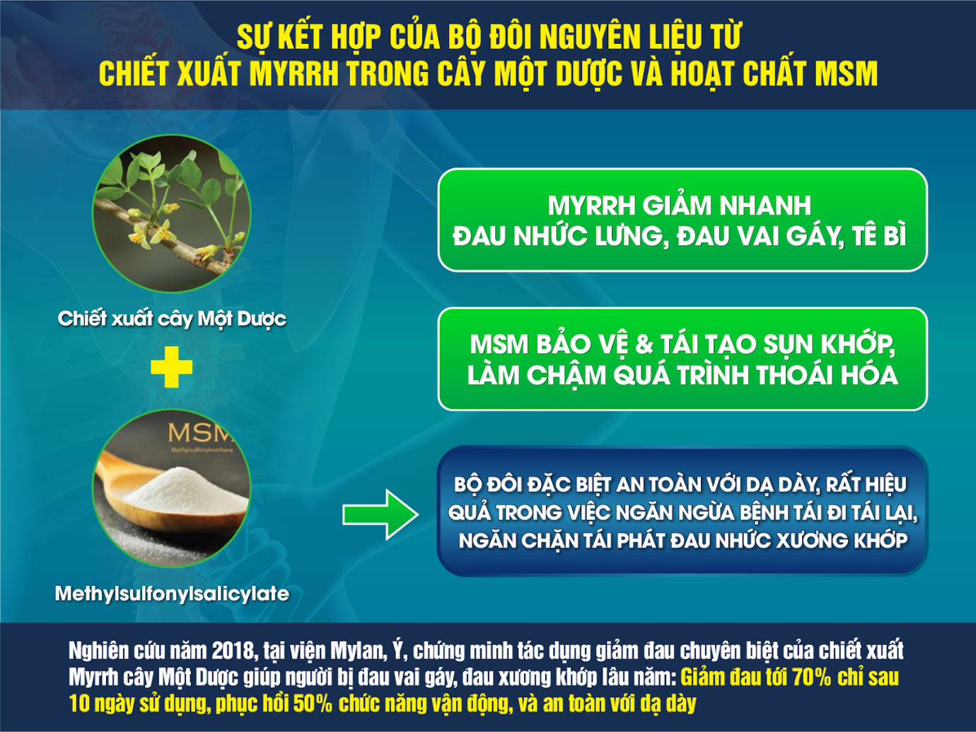 Cây Một Dược - “Khắc tinh” của đau lưng, đau mỏi cổ vai gáy, thoái hóa cột sống, thoát vị đĩa đệm  - 6
