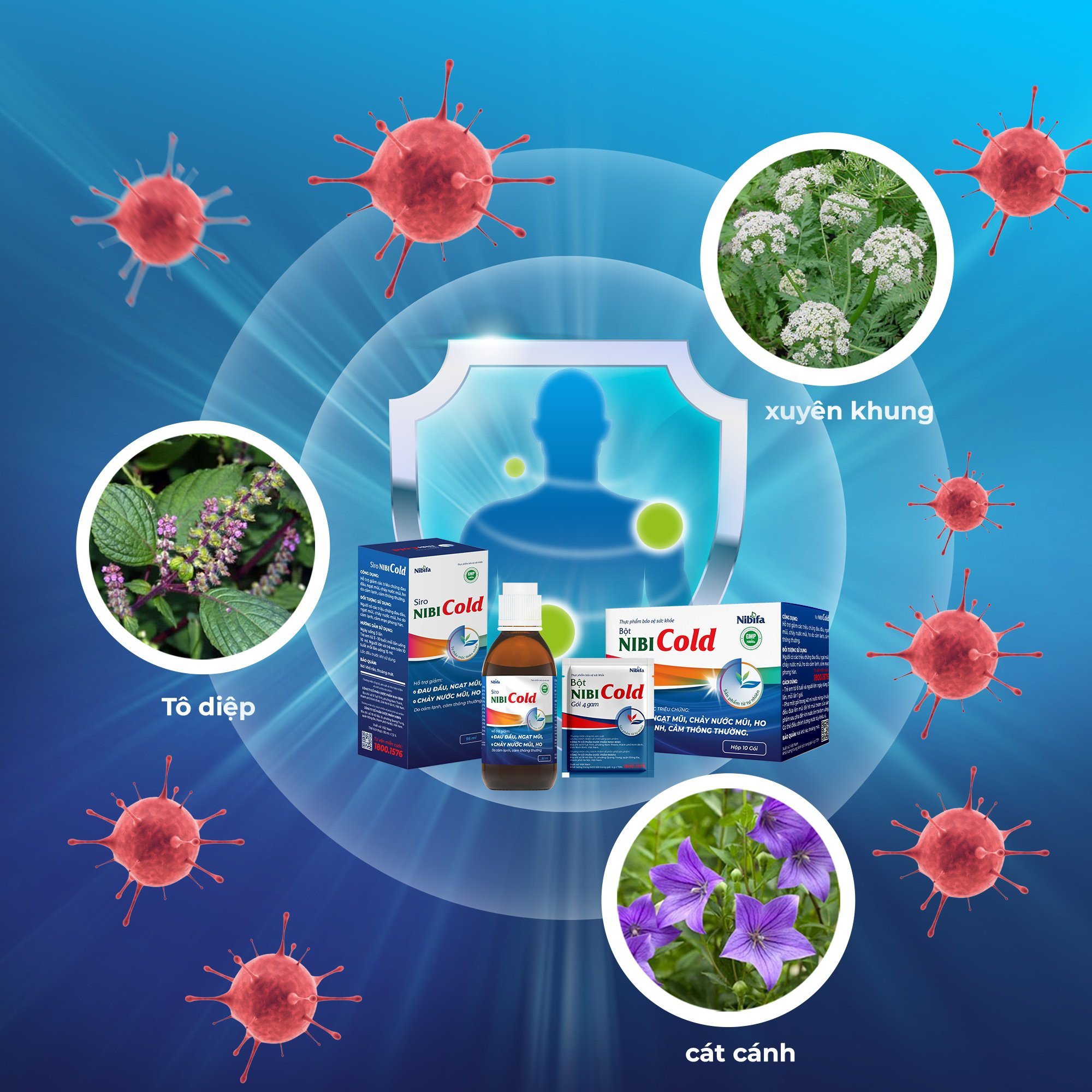 Giảm nhanh bệnh cảm, cúm với thảo dược - 1