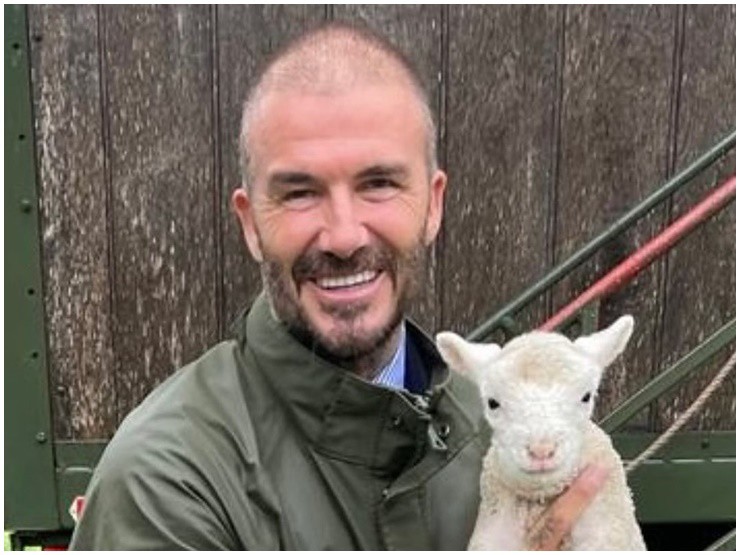 Beckham để lộ đầu hói nặng khó chữa làm nhiều người giật mình - 1
