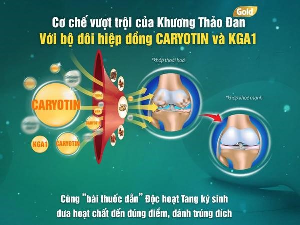 Lý do Khương Thảo Đan Gold thực sự là đột phá giúp giảm đau nhức, thoái hoá xương khớp - 2
