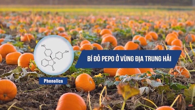 5 món ăn “đại kỵ” với người mắc tiểu đêm nhiều lần - 5