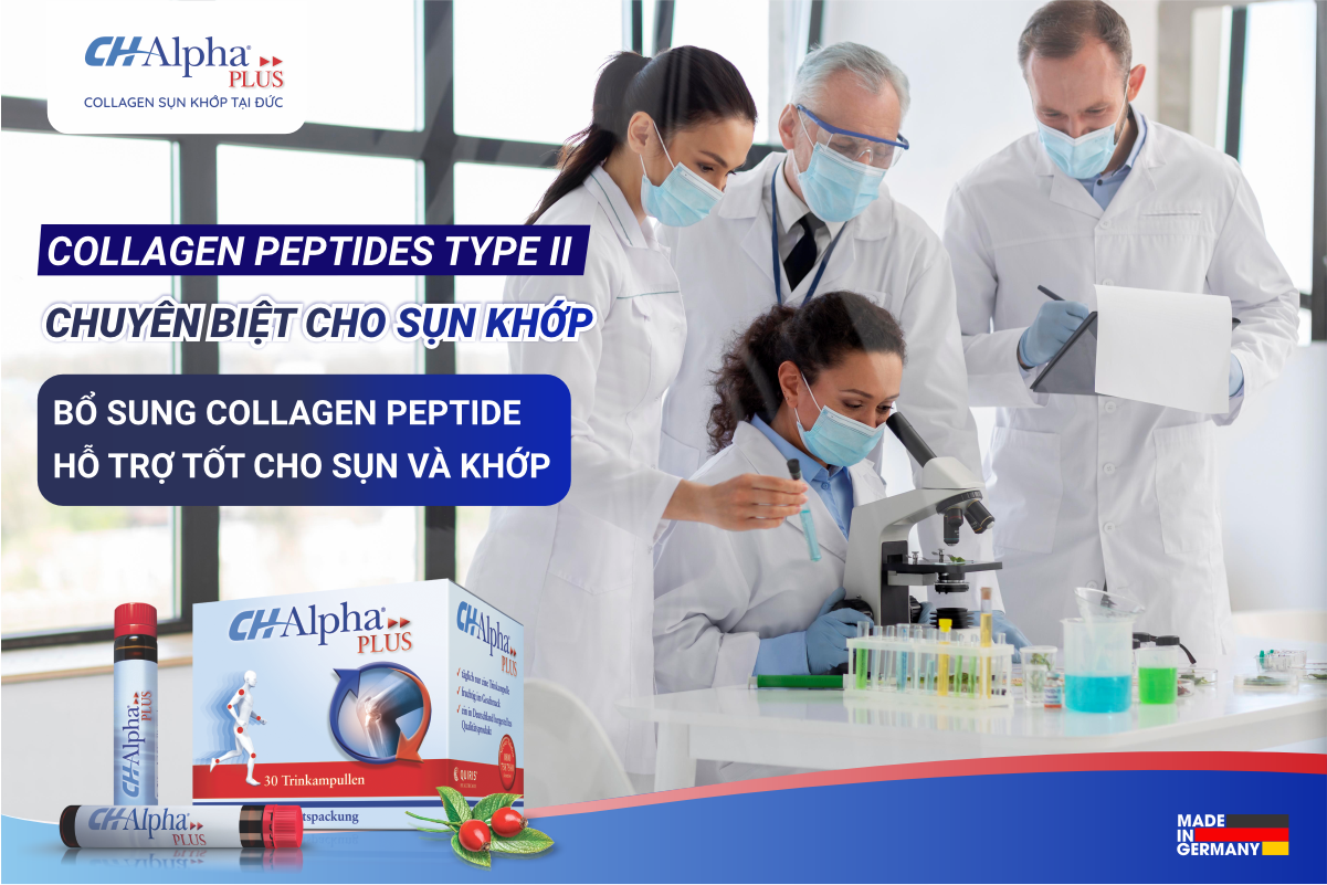 Collagen peptide type II - Giải pháp mới trong cải thiện viêm khớp, thoái hoá khớp - 4