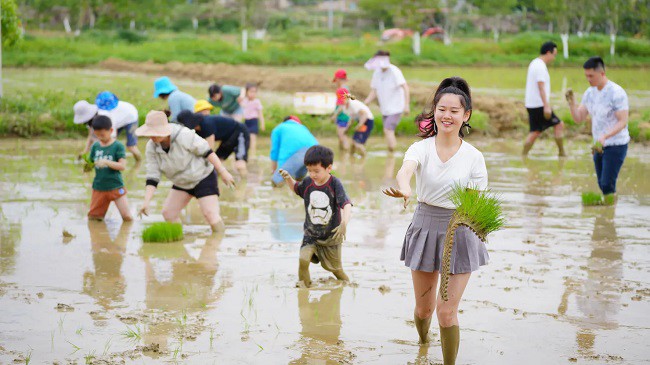 Giới trẻ Trung Quốc đồng loạt "nghỉ hưu" về nông thôn khi tình trạng thất nghiệp trầm trọng - 2