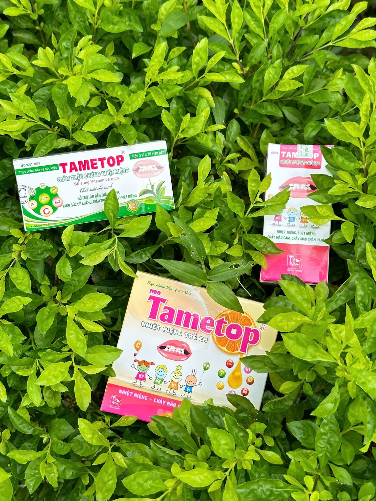 TAMETOP – Giải pháp từ thiên nhiên xua tan nỗi lo nhiệt miệng nóng trong người   - 3