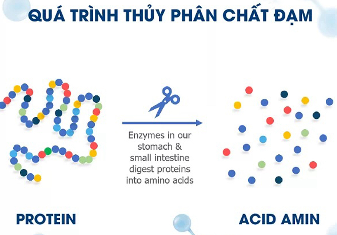Khám phá thành phần dinh dưỡng nổi trội của Jimbo Gold - 2