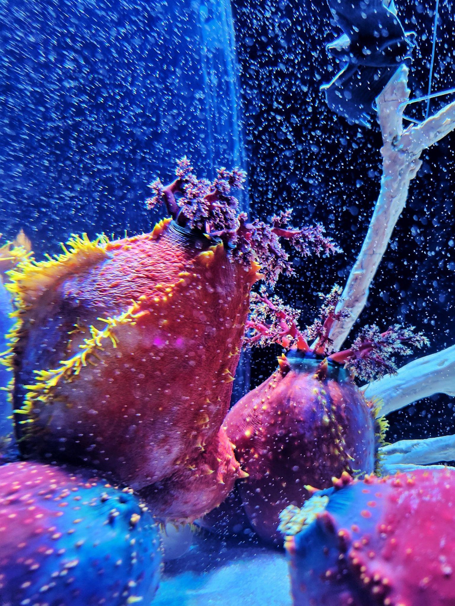 Điểm đến mới cho các bạn trẻ trong mùa Halloween năm nay - 4