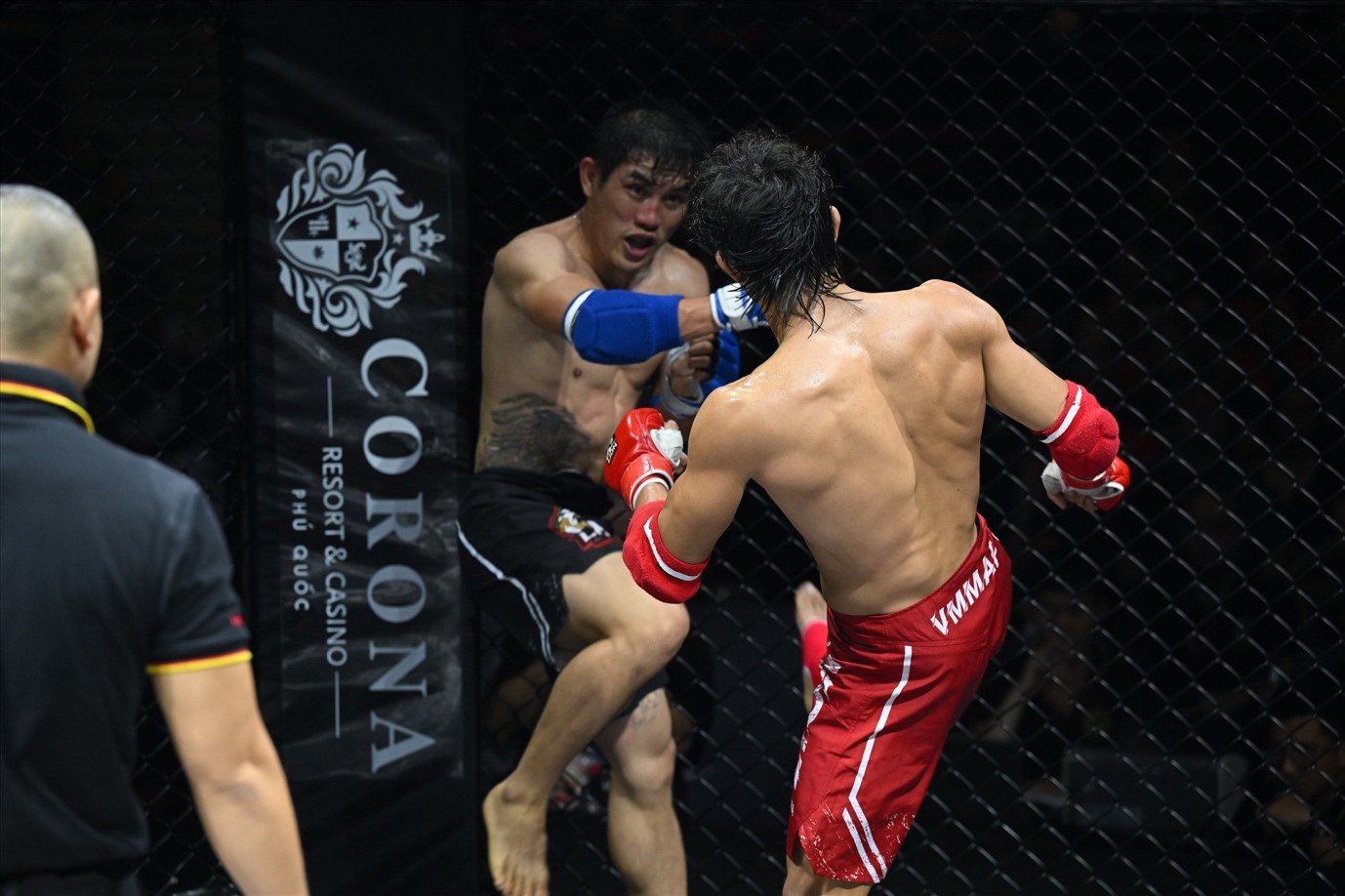 Giải đấu võ thuật tổng hợp hàng đầu Việt Nam MMA Lion Championship 2024 chính thức quay trở lại Phú Quốc - 2