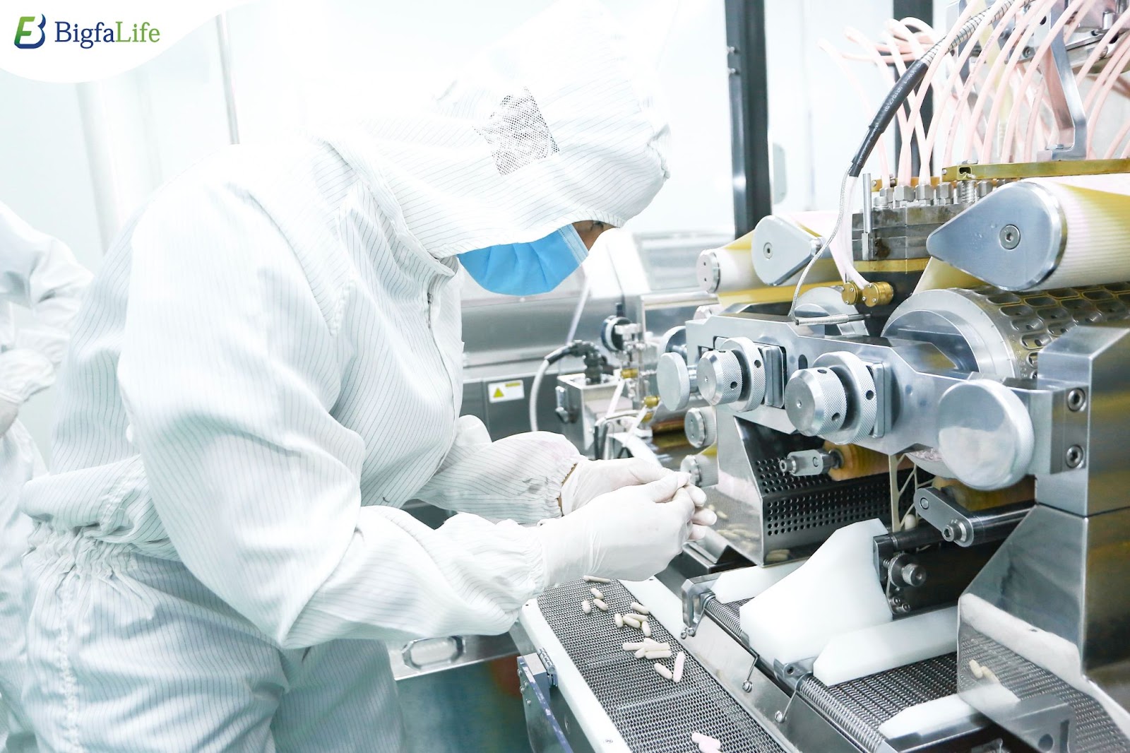 Bigfa - Gắn kết cộng đồng, kiến tạo giá trị Việt - 2