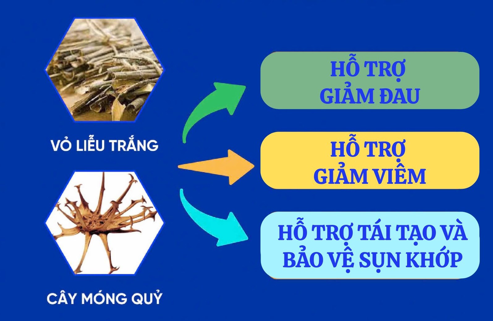 Người bị đau nhức xương khớp cần tránh gì trong mùa mưa bão? - 3