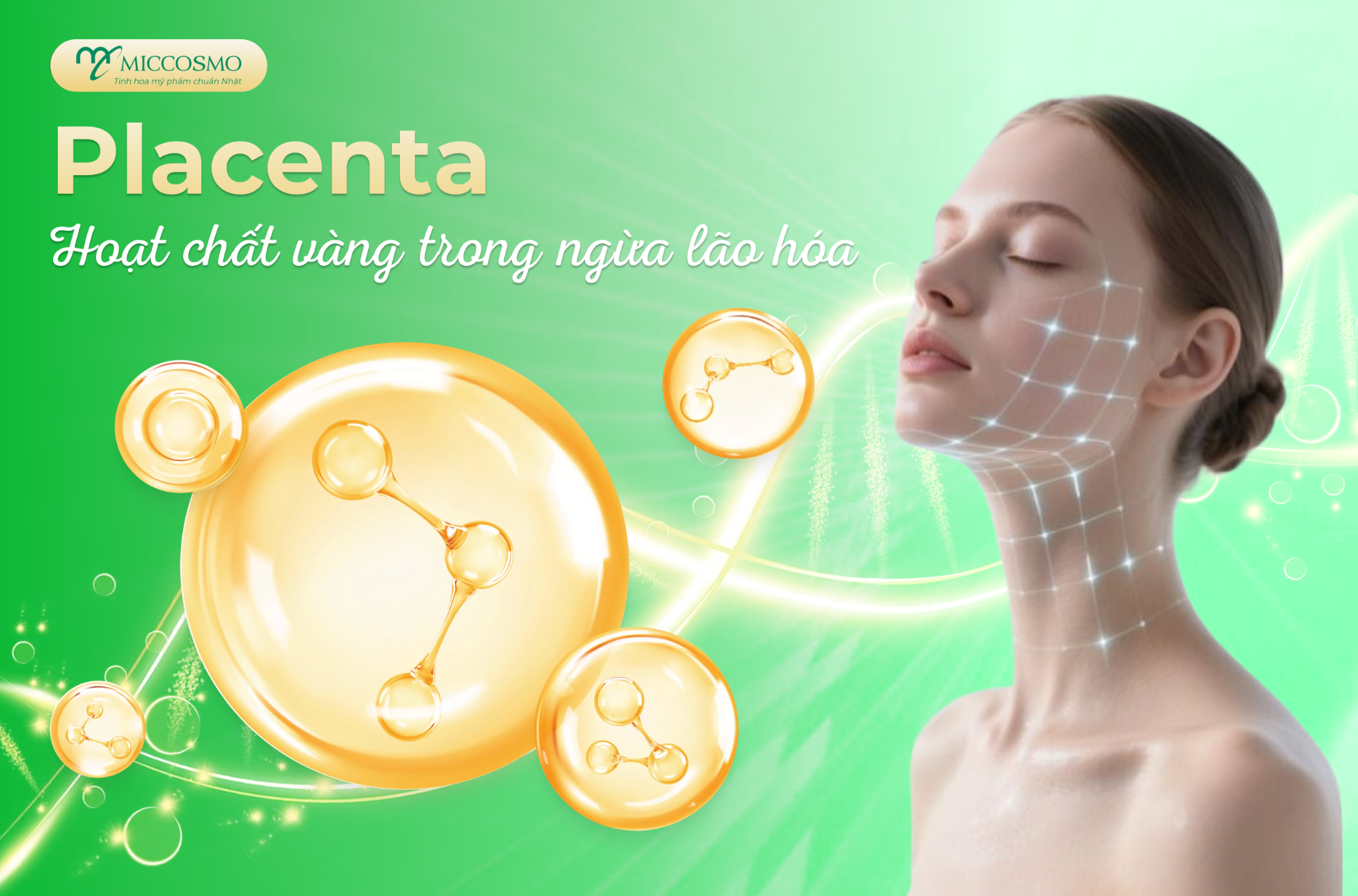 Miccosmo và bí quyết ngừa lão hóa từ chiết xuất Placenta được phụ nữ Nhật tin dùng - 2