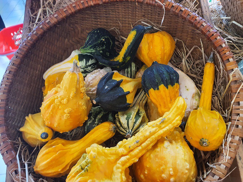 Bất ngờ bí ngô được bán tại Hà Nội với giá lên tới 220 nghìn đồng/kg, chị em vẫn khen rẻ - 2