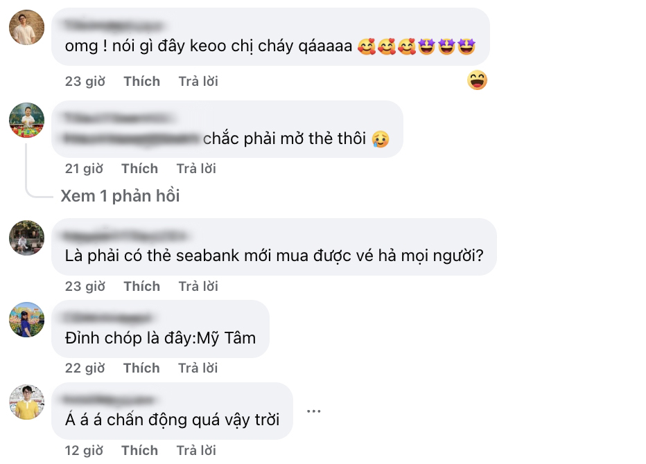 Sức hút thẻ SeASoul trước thềm Mỹ Tâm Live Concert 2025 - See The Light - 1