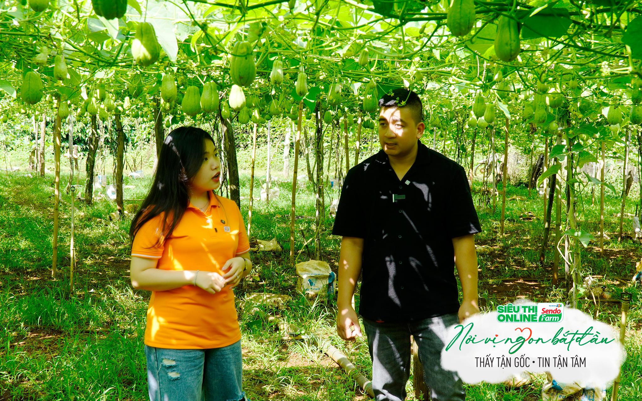 Người tiêu dùng tìm thấy niềm tin trong từng sản phẩm Việt - 3