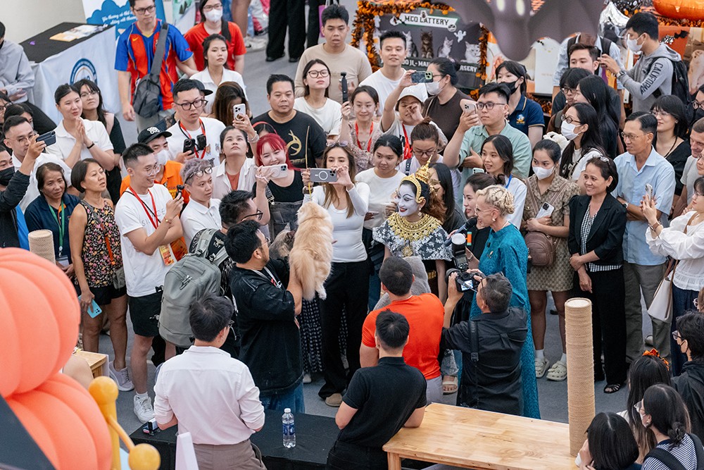 Cuộc thi Hoa hậu mèo quốc tế WCF 2025: Cặp đôi mèo ‘xấu nhất thế giới’ xuất hiện tại TP.HCM - 1