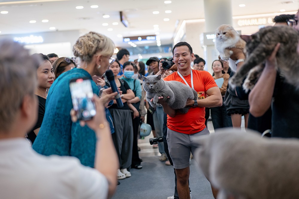 Hơn 100 chú mèo trên khắp thế giới quy tụ ở cuộc thi “Hoa hậu mèo” quốc tế Việt Nam - 1