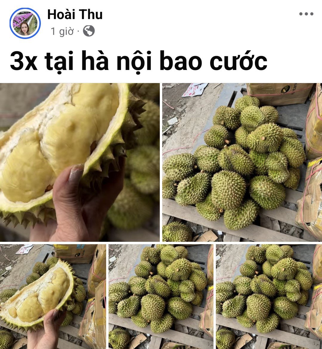 Sầu riêng đổ bộ Hà Nội với giá chỉ từ 35.000 đồng/kg, nhà vườn tiết lộ nguồn gốc - 1