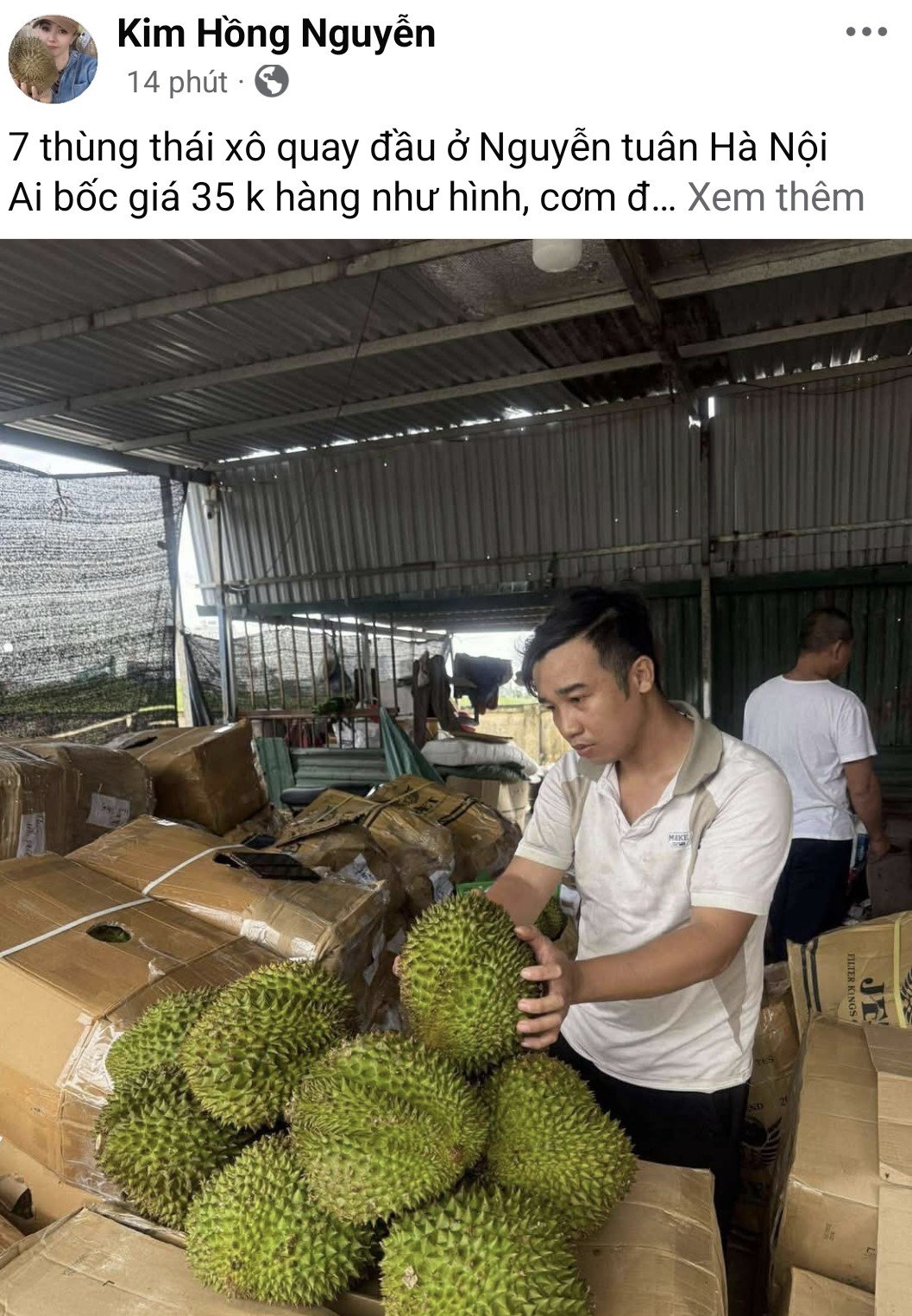 Sầu riêng đổ bộ Hà Nội với giá chỉ từ 35.000 đồng/kg, nhà vườn tiết lộ nguồn gốc - 2